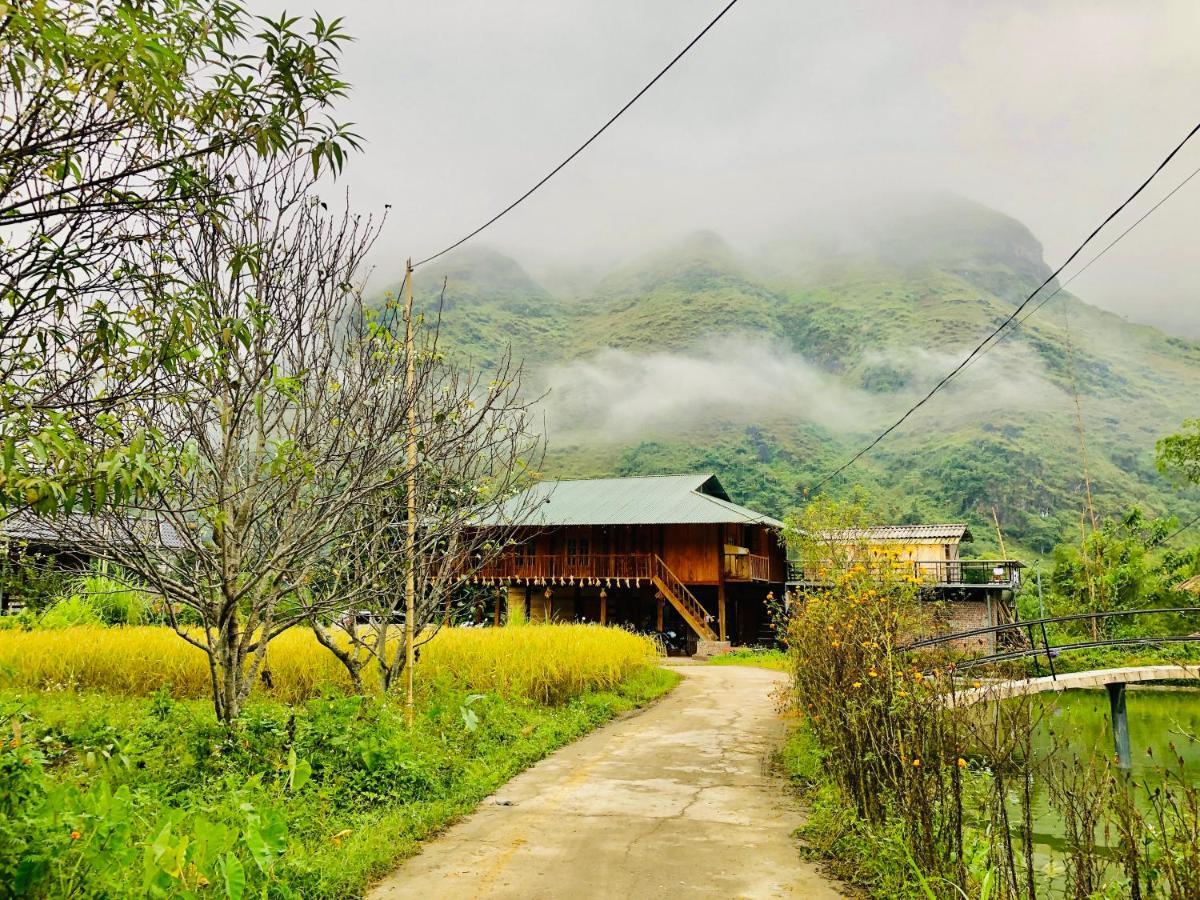 Wild Orchid- Lan Home Lang Cac Luaran gambar