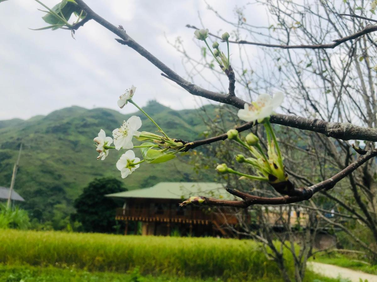 Wild Orchid- Lan Home Lang Cac Luaran gambar