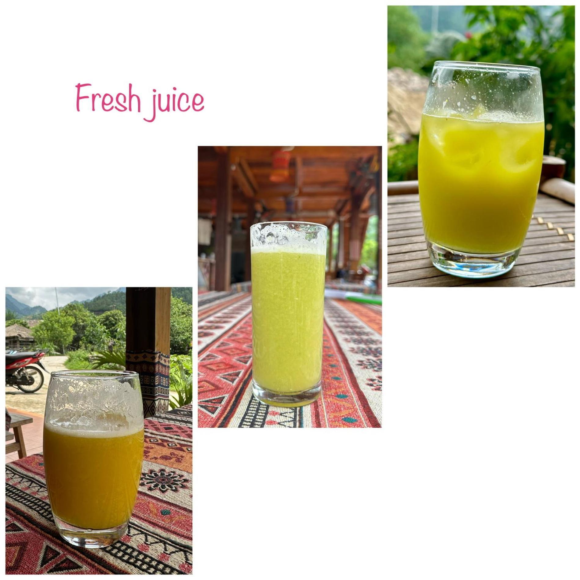 Wild Orchid- Lan Home Lang Cac Luaran gambar