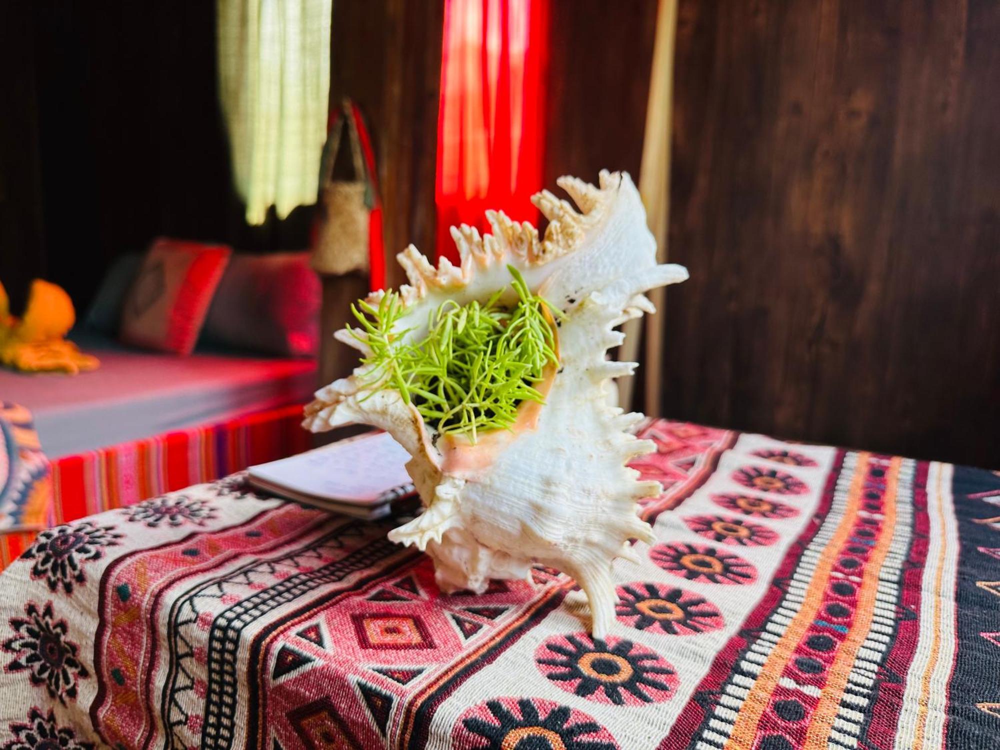 Wild Orchid- Lan Home Lang Cac Luaran gambar
