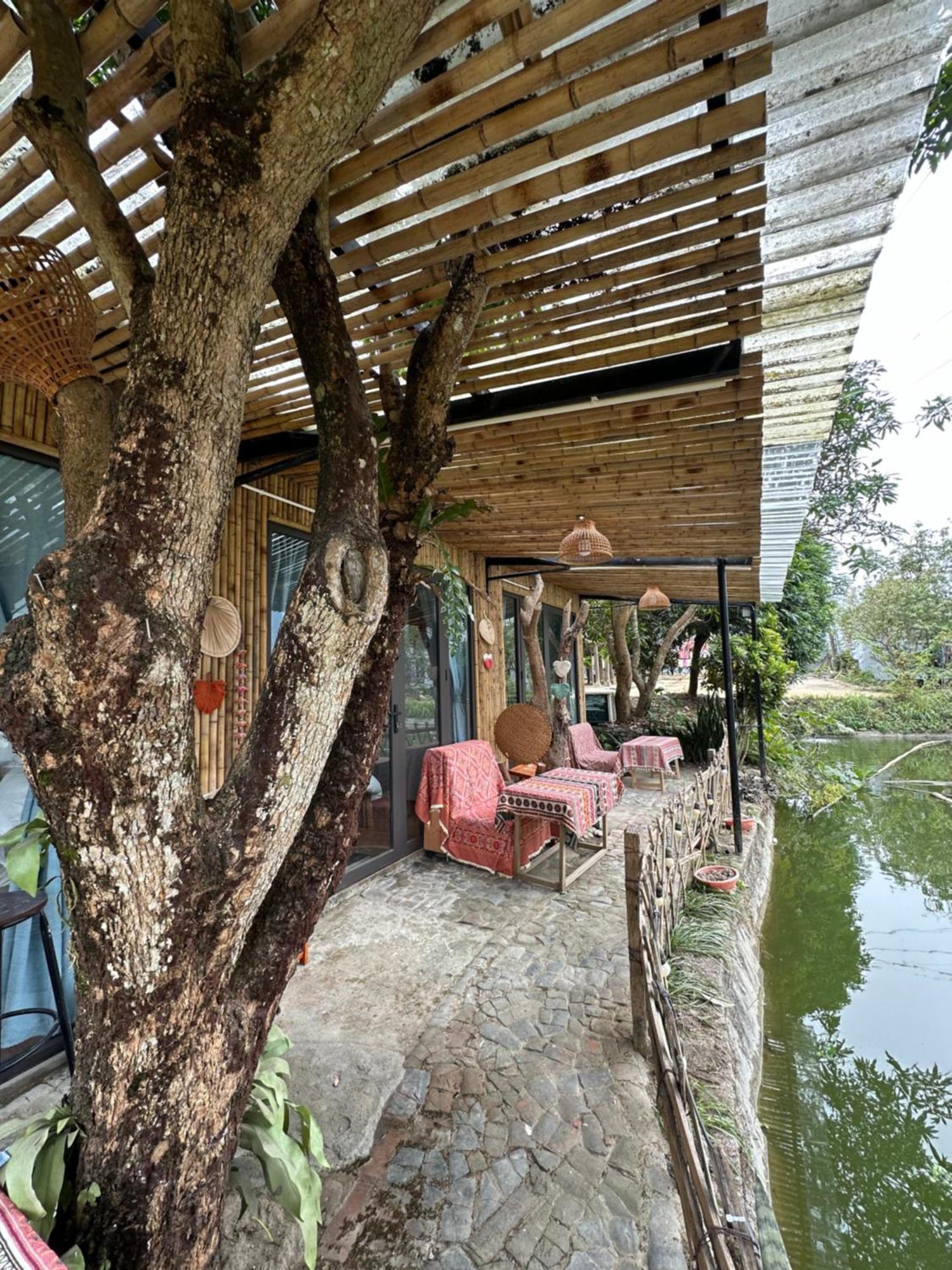 Wild Orchid- Lan Home Lang Cac Luaran gambar